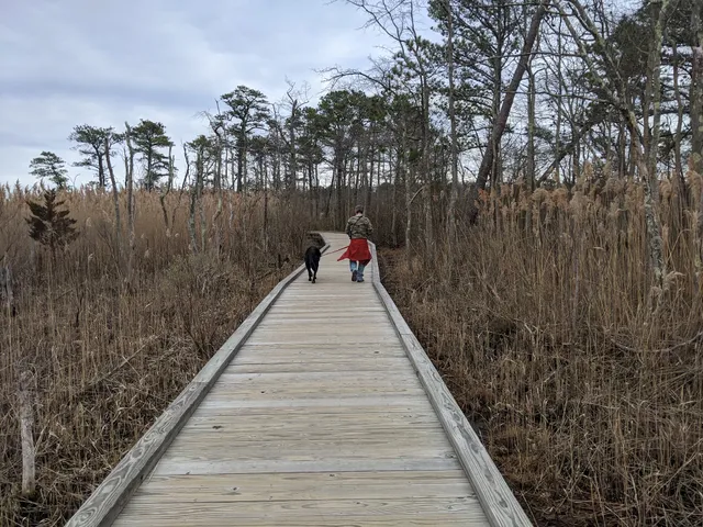 Cattus Island County Park