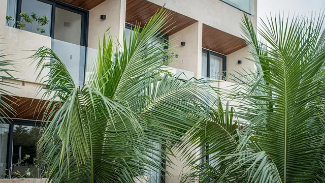 Moonshine Tulum Hotel & Hostel