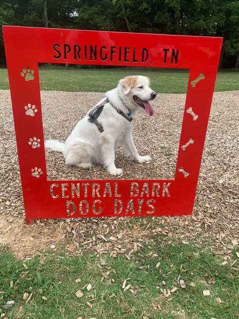 Central Bark Dog Park