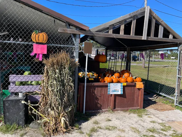 The Stand at East Palatka