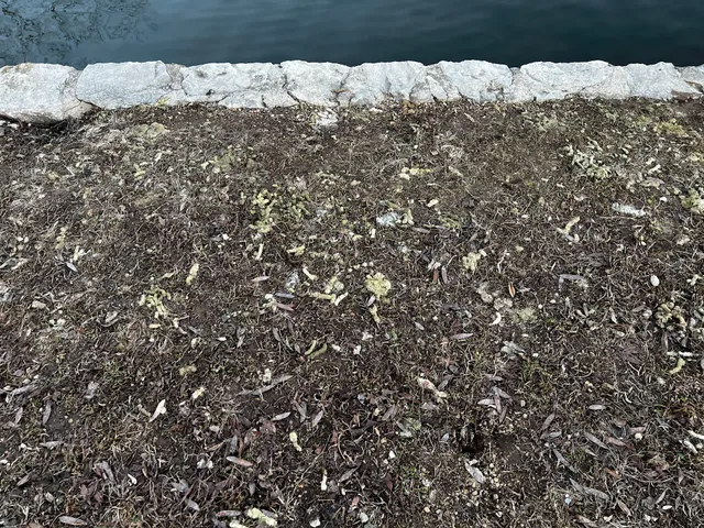 Sequiota Park