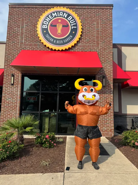 Bohemian Bull Murrells Inlet