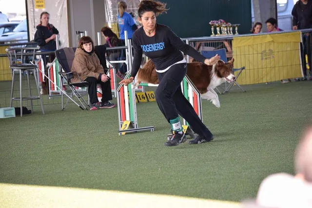 Addestramento cani Brescia " DOGENERGY " in the City"