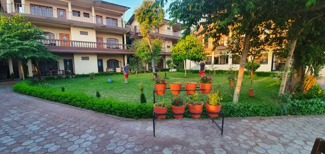 Jungle Wildlife Camp