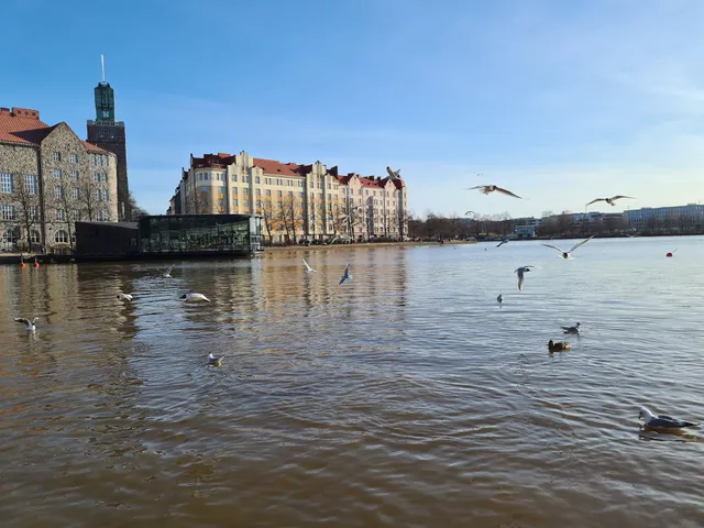 Tokoi Shore Playground