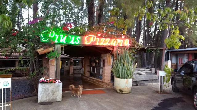 Pinu's Pizzaria