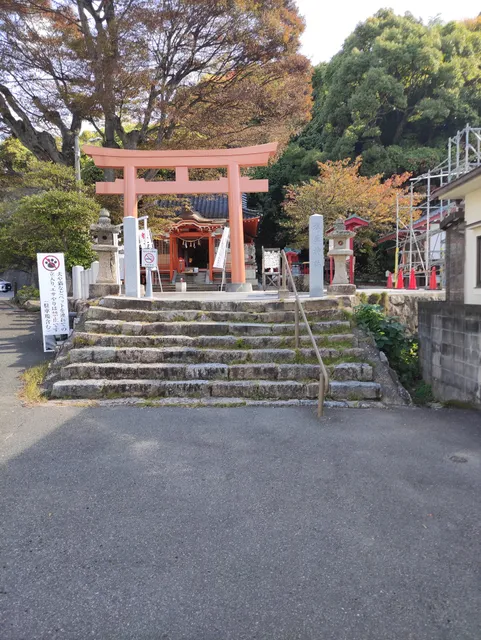 photo-3