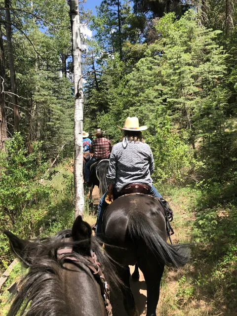 Little Elden Springs Horse Campground
