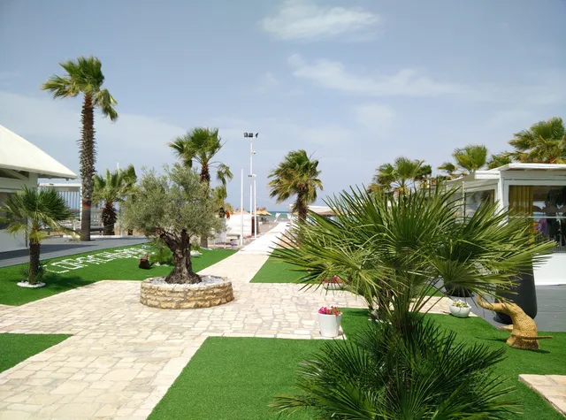 B & B Copacabana Colors