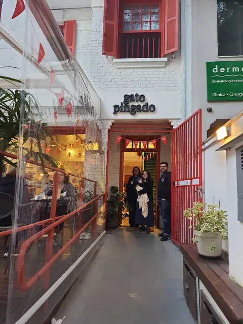 Gato Pingado Cat Cafe