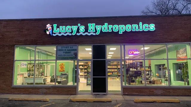 Lucy’s hydroponics