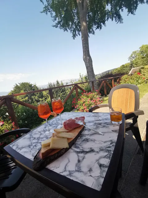 La Gatta Di Papi Marco