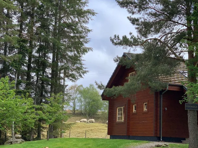 Wildside Highland Lodges