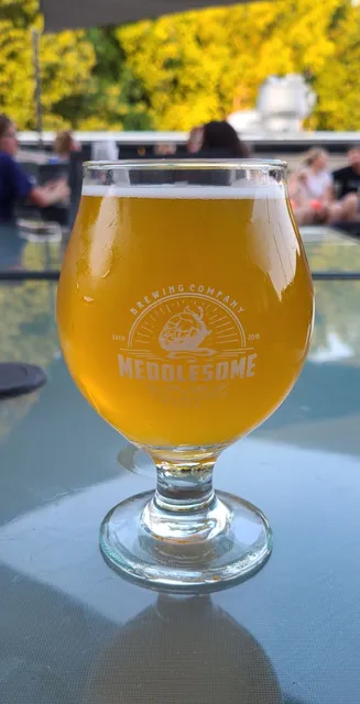 Meddlesome Brewing Company