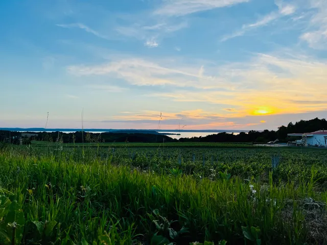 Scenic Wine and Brew Tours