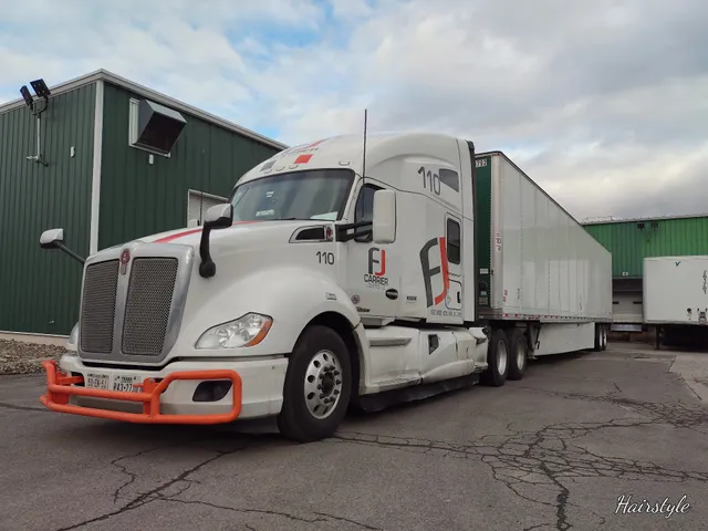 Dinesol Plastics Inc