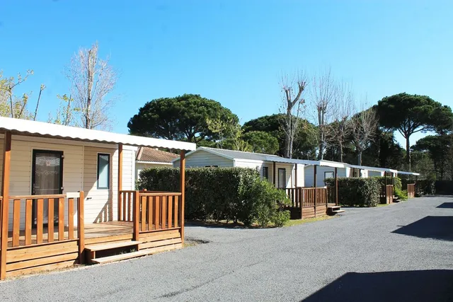 Camping La Petite Motte