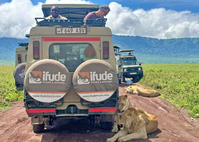 Ifude tours & Safaris Tanzania