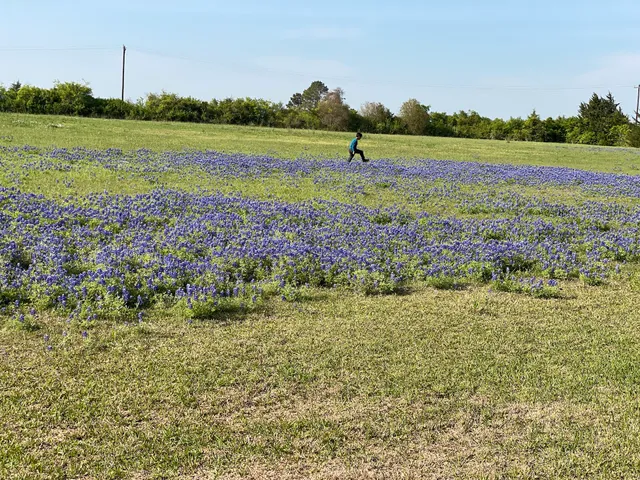 New Life Church of God