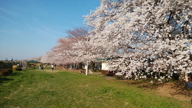 高麗川コミュニティパーク