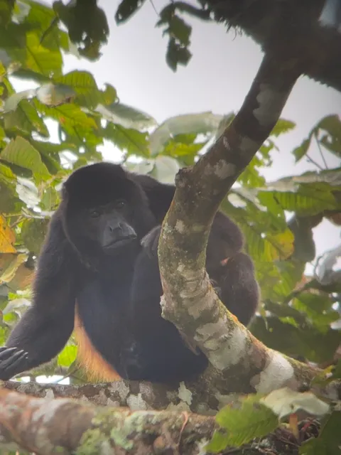 Costa Rica Rent A Guide