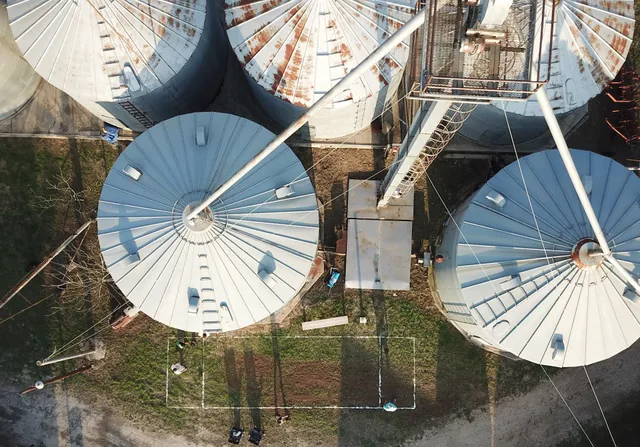 Schattenbol at DeCock Farm