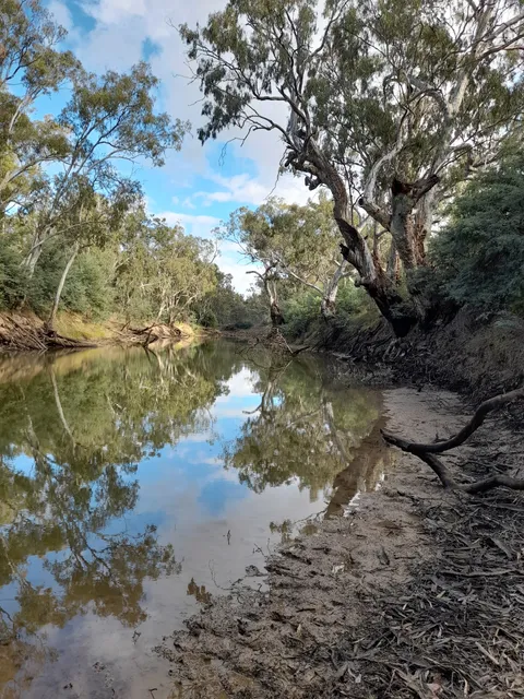Goulburn River