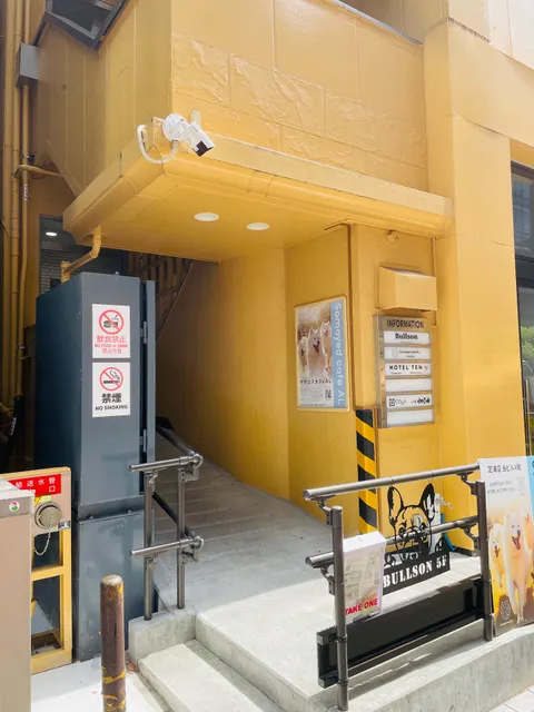 サモエドカフェ アル 芝浦店