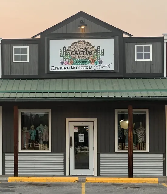The Classy Cactus & Co Boutique