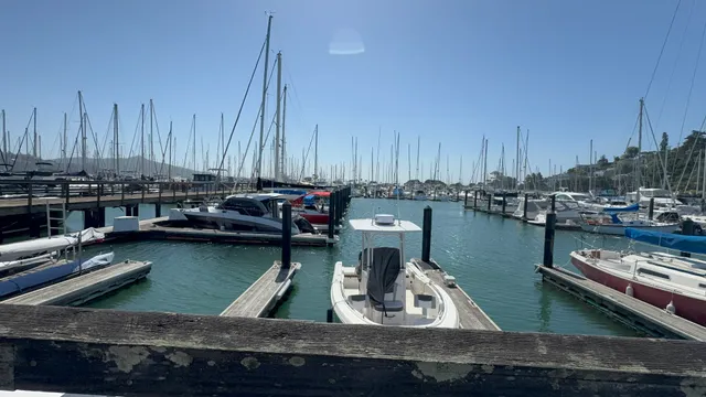 Sausalito Yacht Harbor