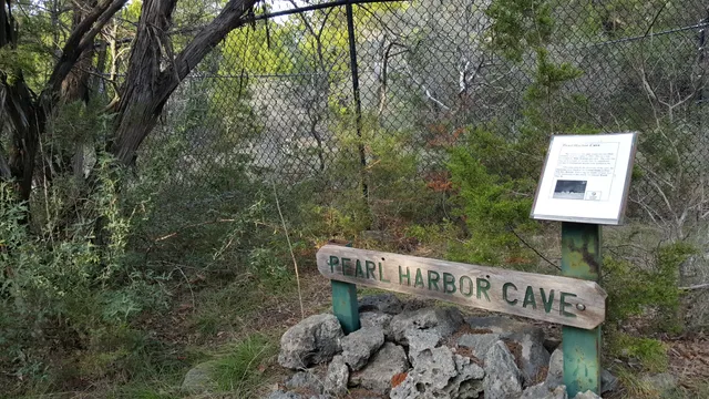 Whitestone Preserve Trail