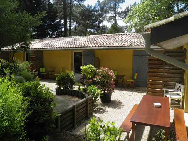 The pine cone, lodging