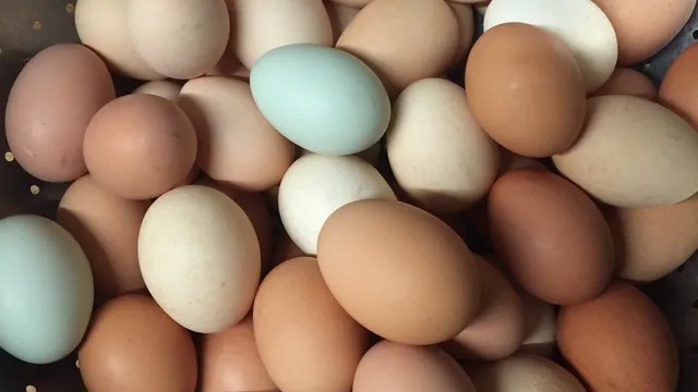 Farmer John and Family Eggs