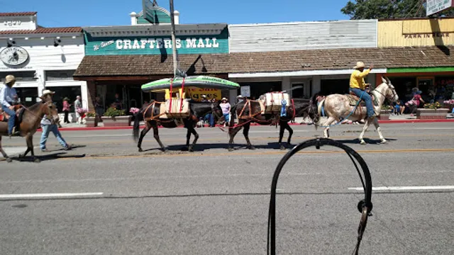 Black Sheep Coffee Roasters