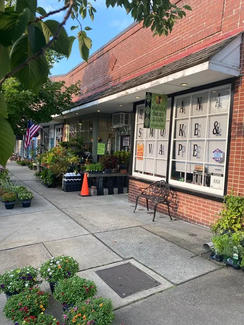 Havana Smoke and Vape