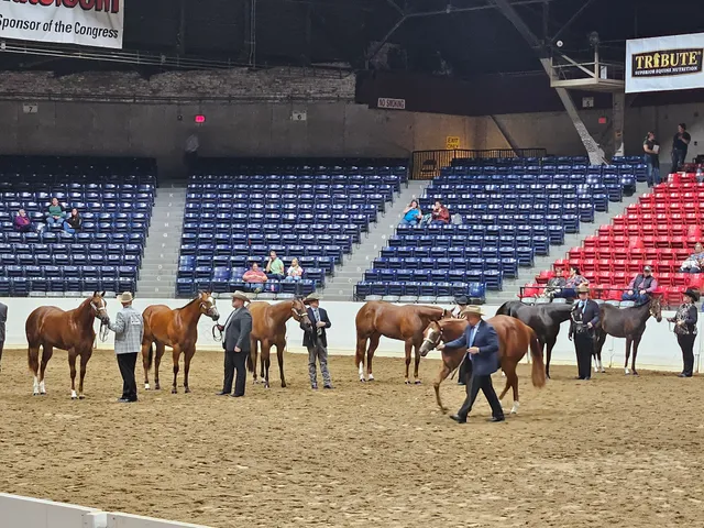 Quarter Horse Congress