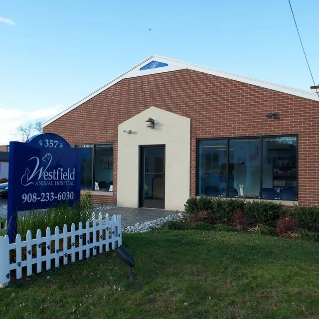 Westfield Animal Hospital