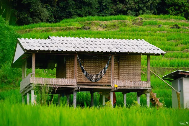 บ้านพักทีโต ป่าบงเปียง