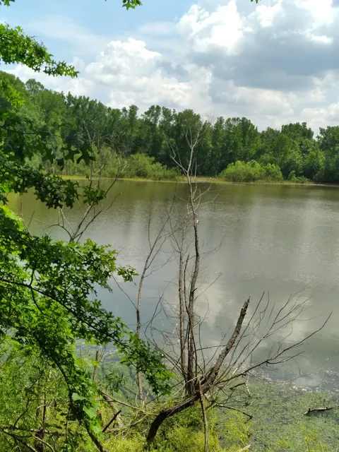 Three Creeks Park - Madison Mills Area