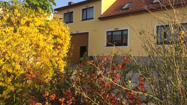 Amstetter‘s Ferienwohnung