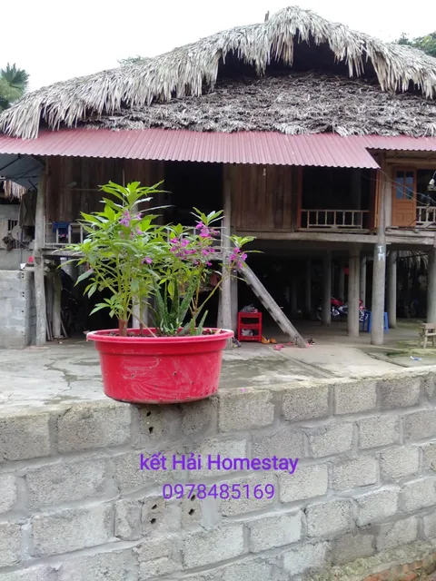 Homestay Kết Hải