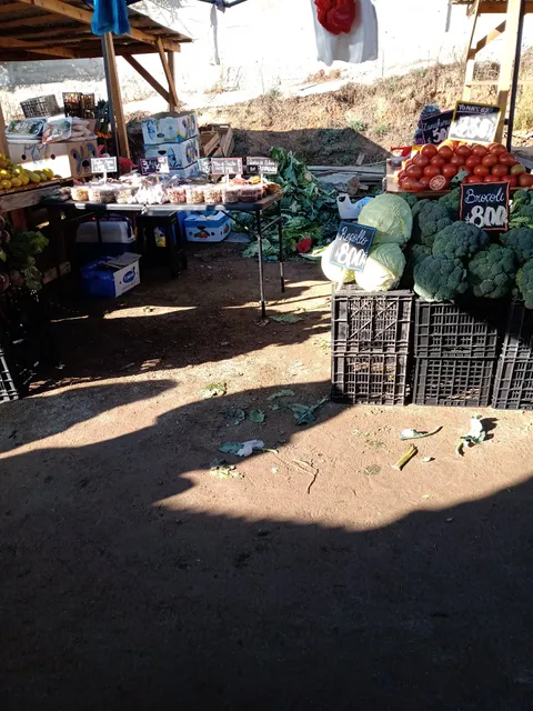 Free markets Martinez de Rosas