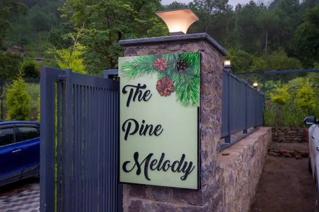 The Pine Melody