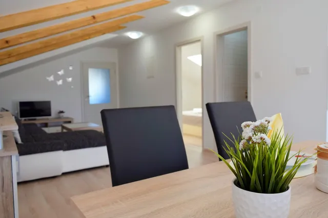 APARTMENTS KAMPOR - ANITA