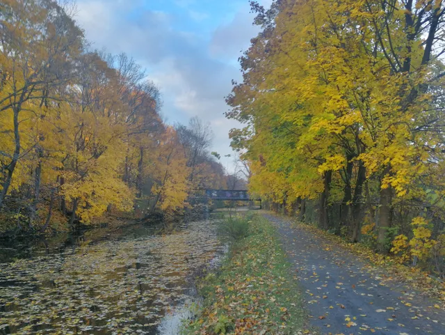 Waterford Swimming Pool