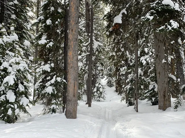 Howard Eaton Trailhead 0K2