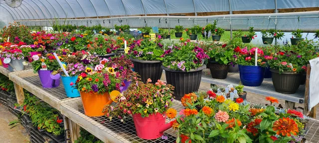 The Watering Can Garden Shop