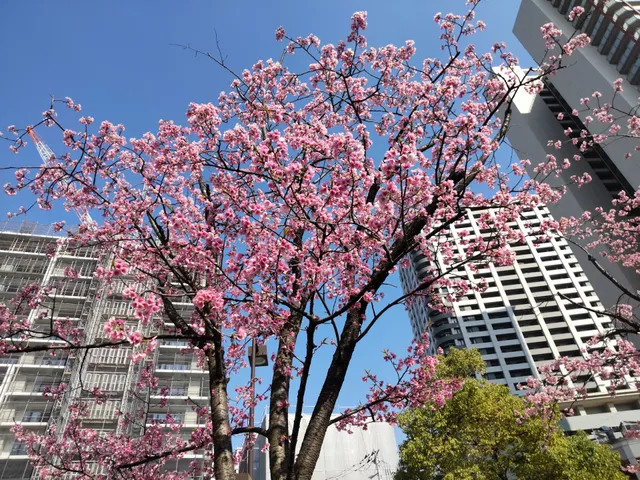 武蔵浦和駅西口広場