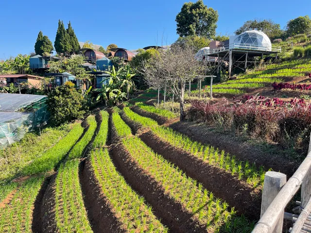 Nuea Doi Camping Chiang Mai