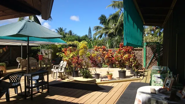 Angeline's Kauai Lomi Lomi Massage